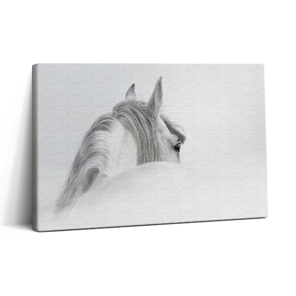 Tablou canvas 30x20 Cal andaluz în ceață