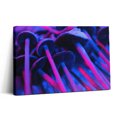 Tablou canvas 30x20 Ciuperci magice colorate