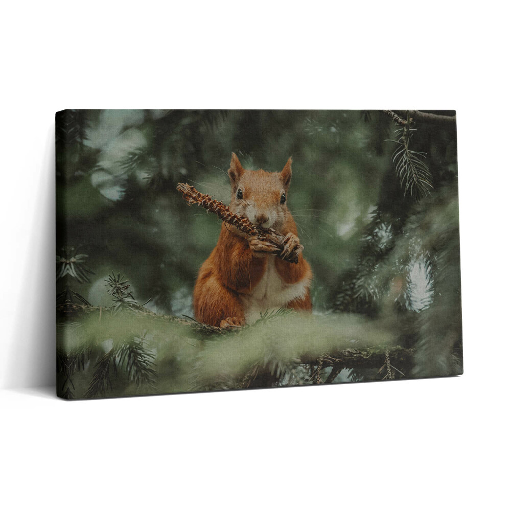 Tablou canvas 30x20 Veveriță sălbatică din natură
