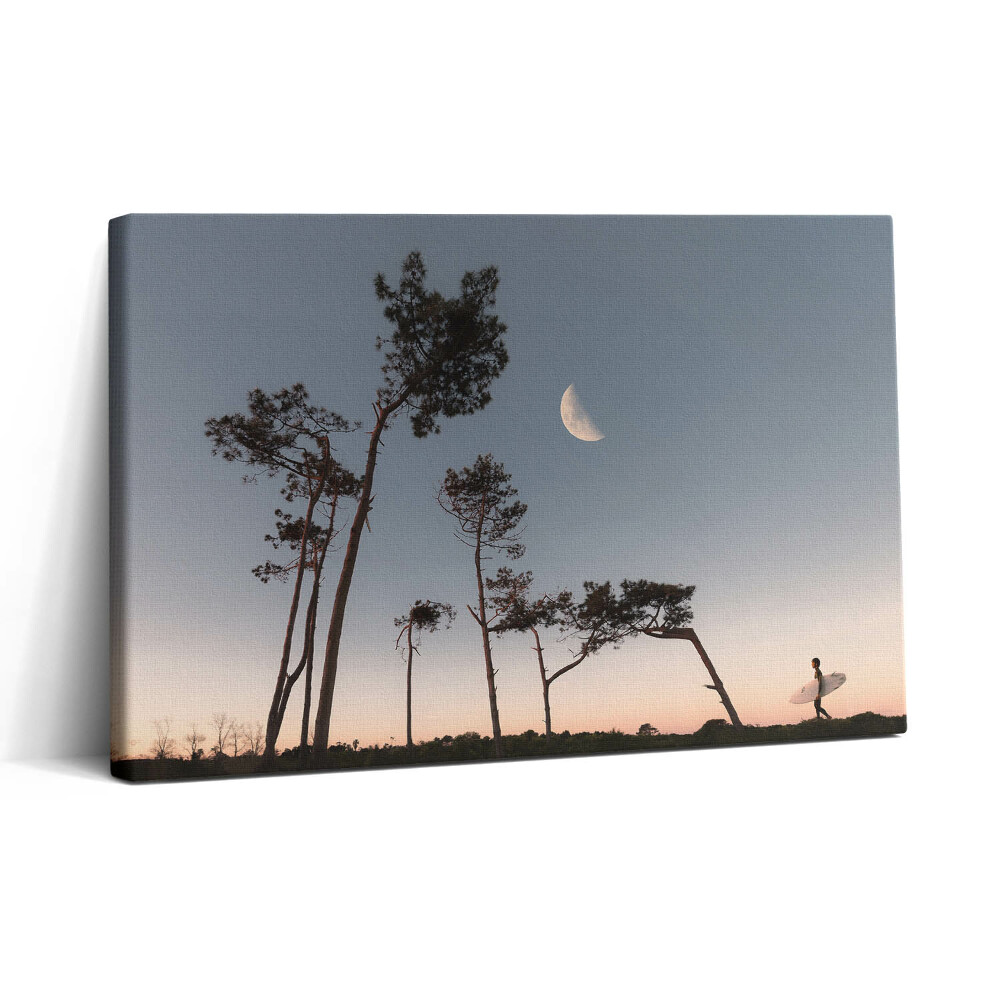 Tablou canvas 30x20 Semilună și copaci