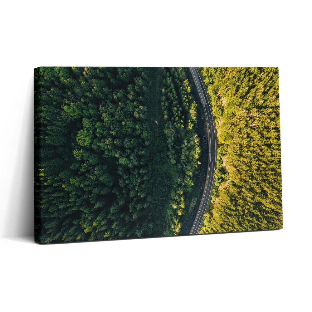 Tablou canvas 30x20 Pădurea dintr-o dronă - Muntele Śnieżka