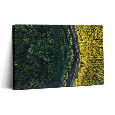 Tablou canvas 30x20 Pădurea dintr-o dronă - Muntele Śnieżka