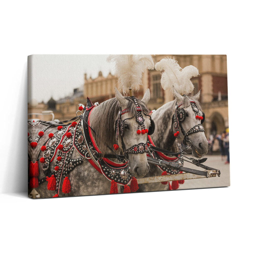 Tablou canvas 30x20 Cai frumoși în Cracovia