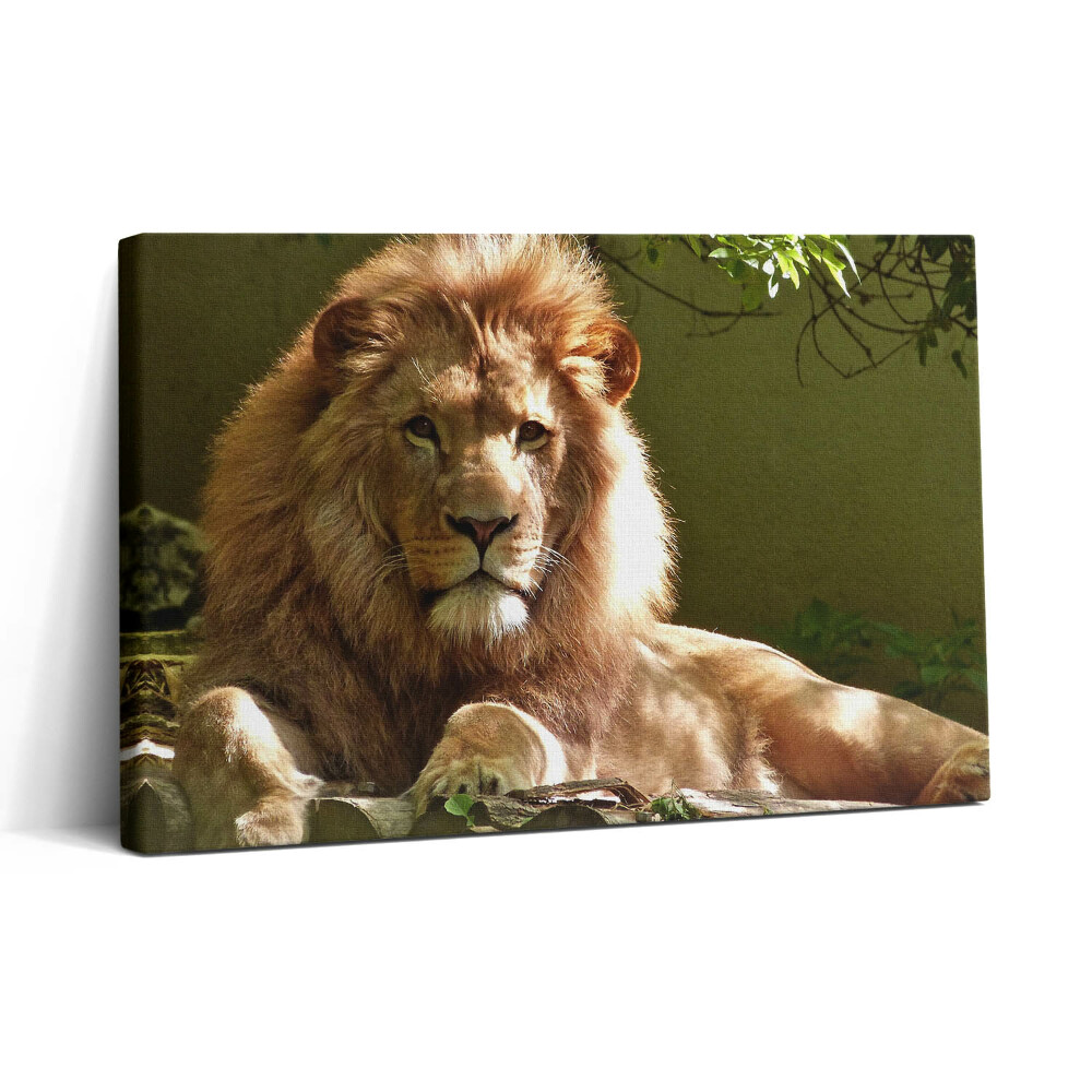 Tablou canvas 30x20 Portretul unui leu sălbatic