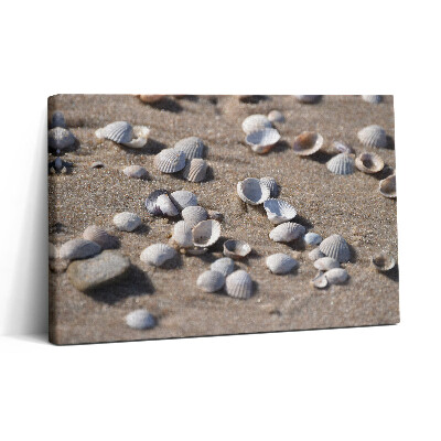 Tablou canvas 30x20 Scoici pe plajă
