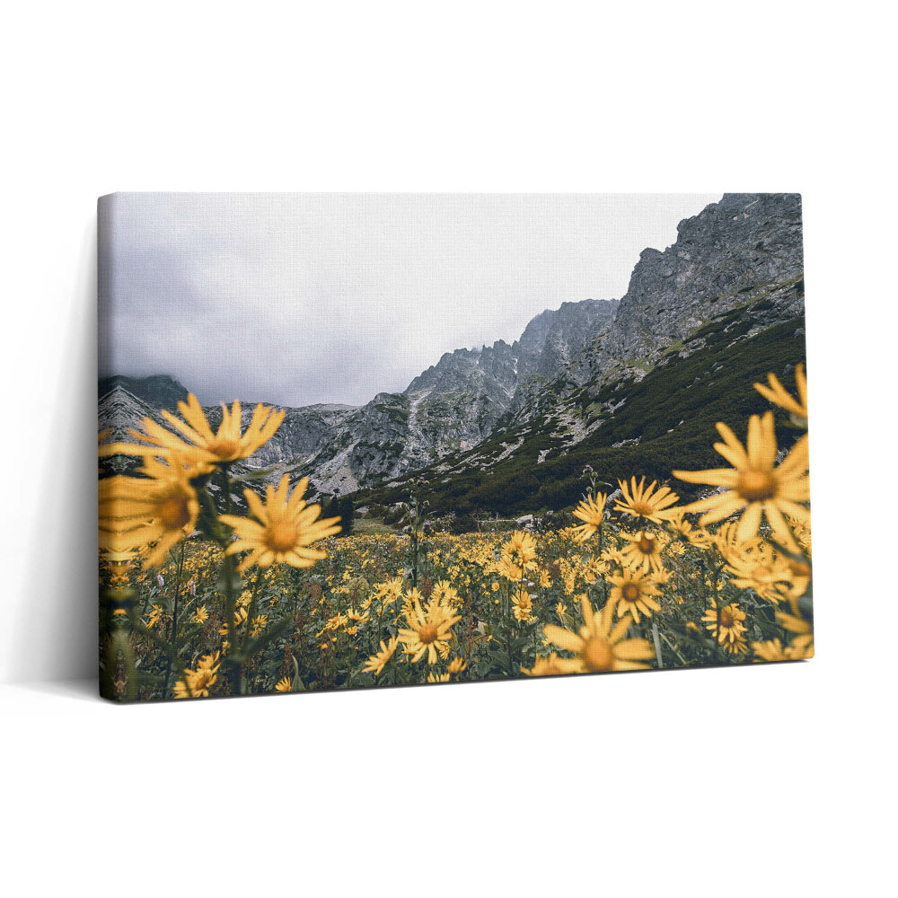 Tablou canvas 30x20 Pajiște cu flori din Munții Tatra