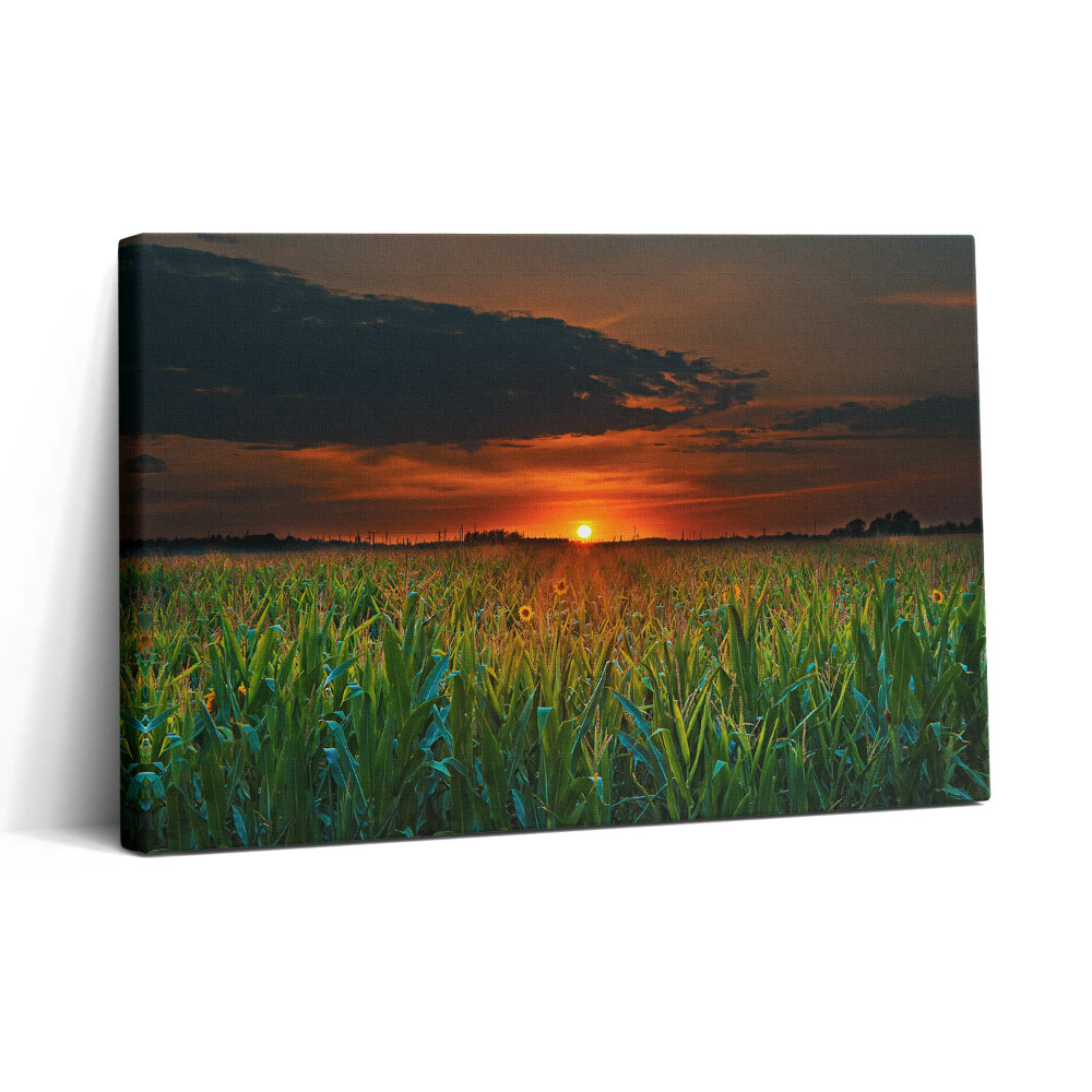 Tablou canvas 30x20 Floarea-soarelui în pajiște