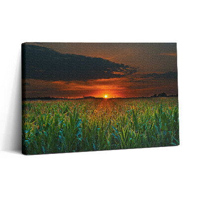 Tablou canvas 30x20 Floarea-soarelui în pajiște