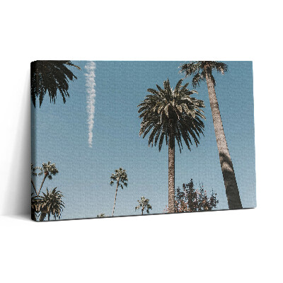 Tablou canvas 30x20 Palmieri în Los Angeles