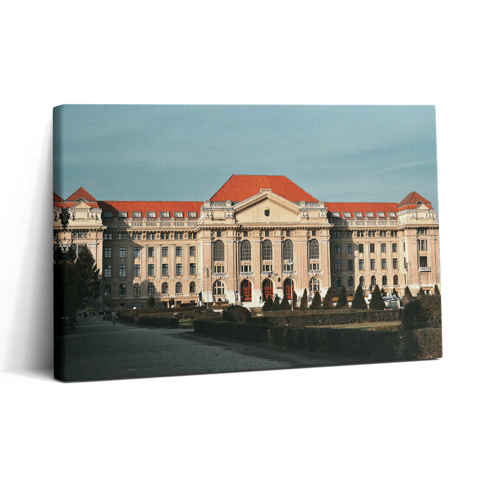 Tablou canvas 30x20 Universitatea din Debrețin