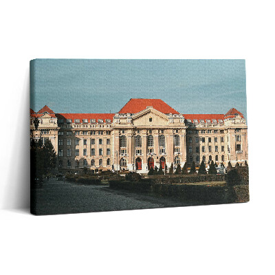 Tablou canvas 30x20 Universitatea din Debrețin