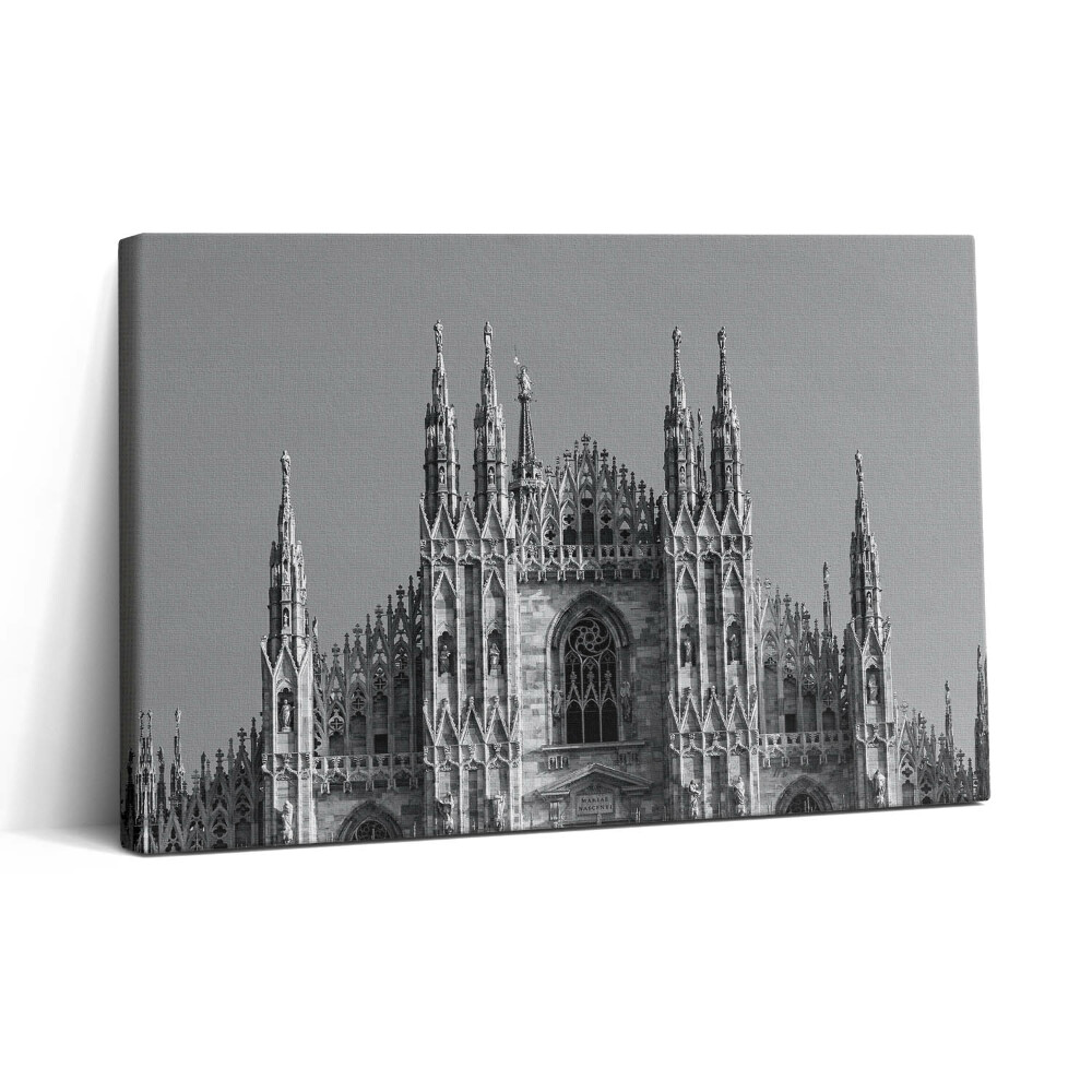 Tablou canvas 30x20 Duomo di Milano din Roma