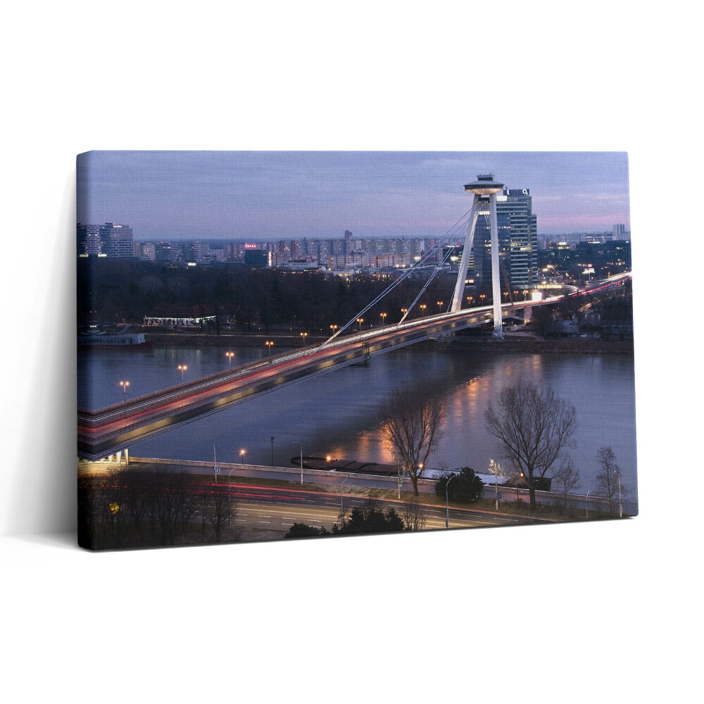 Tablou canvas 30x20 Podul OZN peste Dunăre din Bratislava