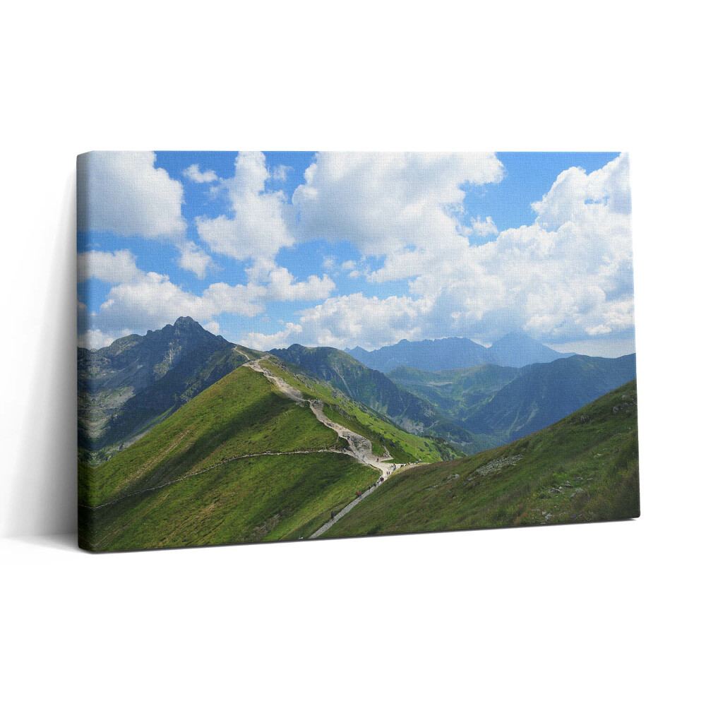 Tablou canvas 30x20 Kasprowy Wierch în Zakopane