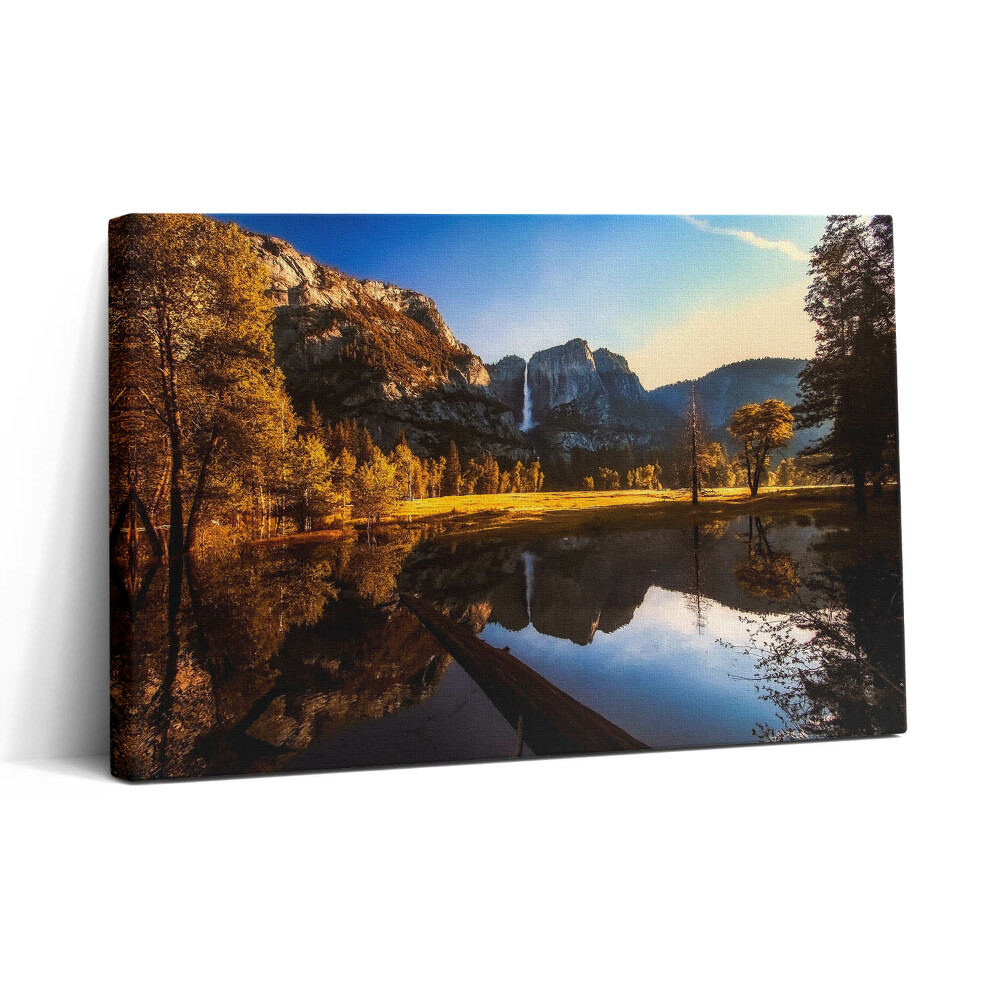 Tablou canvas 30x20 Pădurea din Parcul Yosemite