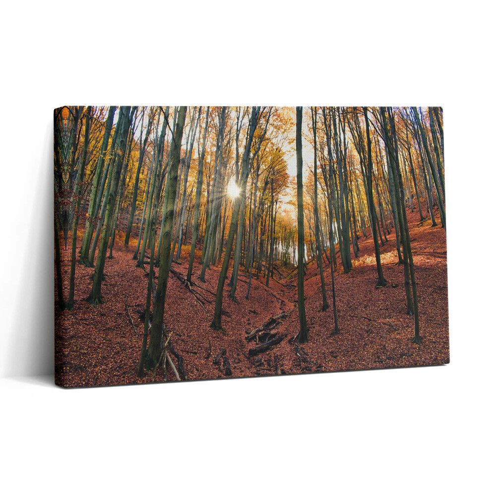 Tablou canvas 30x20 Apus de soare și copaci