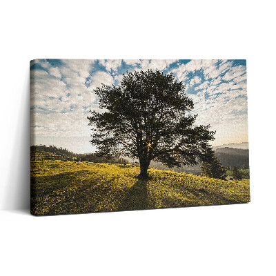 Tablou canvas 30x20 Un copac cu frunze pe un deal