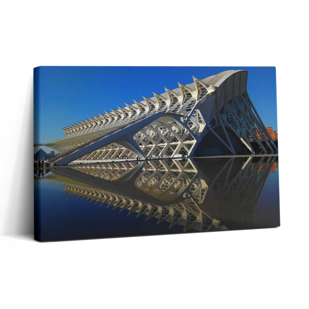 Tablou canvas 30x20 Muzeul de Știință din Valencia