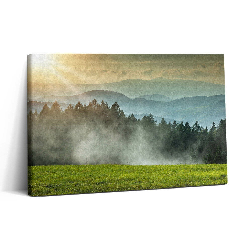 Tablou canvas 30x20 Peisajul Beskids