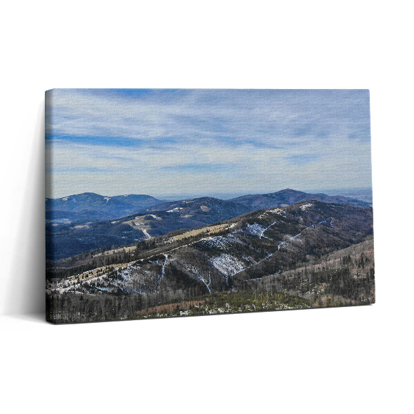 Tablou canvas 30x20 Peisajul din Równica Ustroń