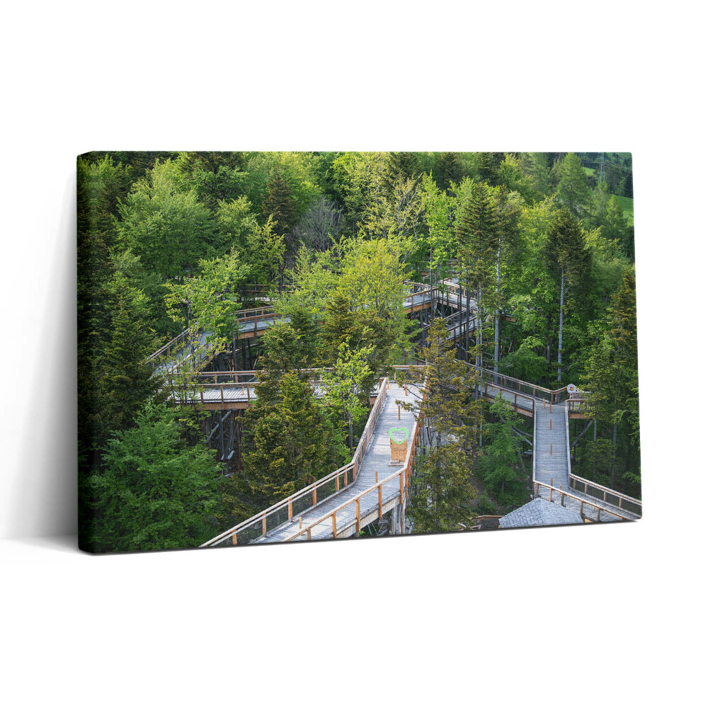 Tablou canvas 30x20 Calea în Krynica Zdrój