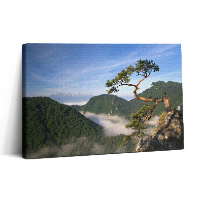 Tablou canvas 30x20 Vârful Sokolica din Munții Pieniny
