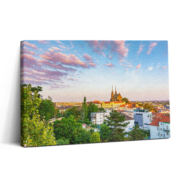Tablou canvas 30x20 Clădiri Brno Republica Cehă