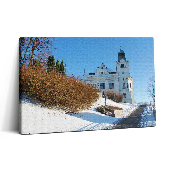 Tablou canvas 30x20 Orașul Ostrava iarna