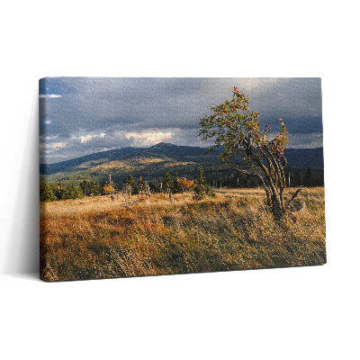 Tablou canvas 30x20 Karkonosze în toamnă
