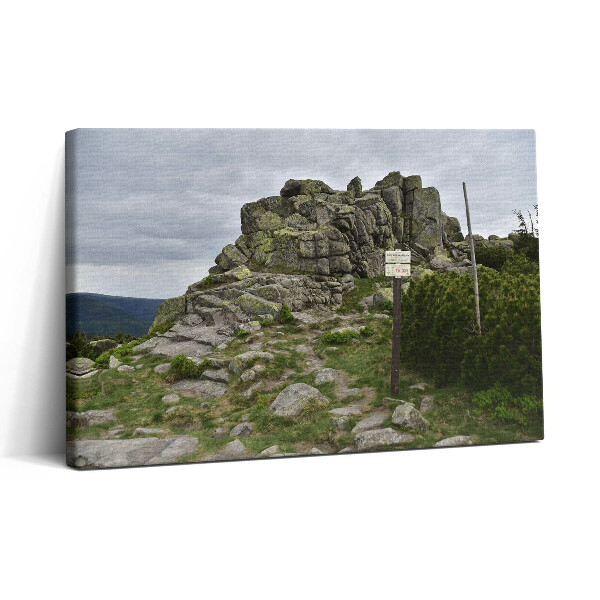 Tablou canvas 30x20 Traseu în Munții Karkonosze