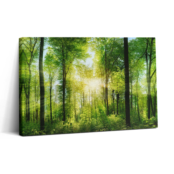 Tablou canvas 30x20 Natura copacilor de pădure