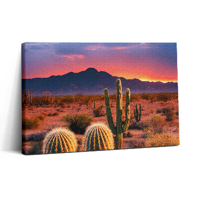 Tablou canvas 30x20 Apus de soare în deșert