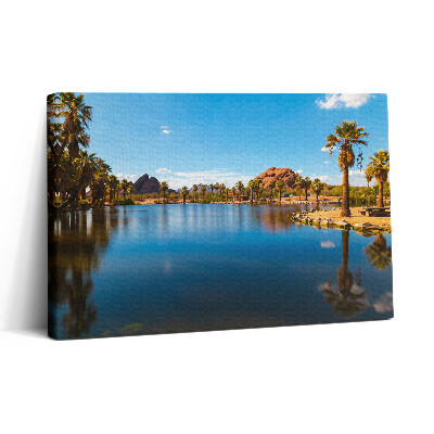 Tablou canvas 30x20 Peisajul parcului Papago