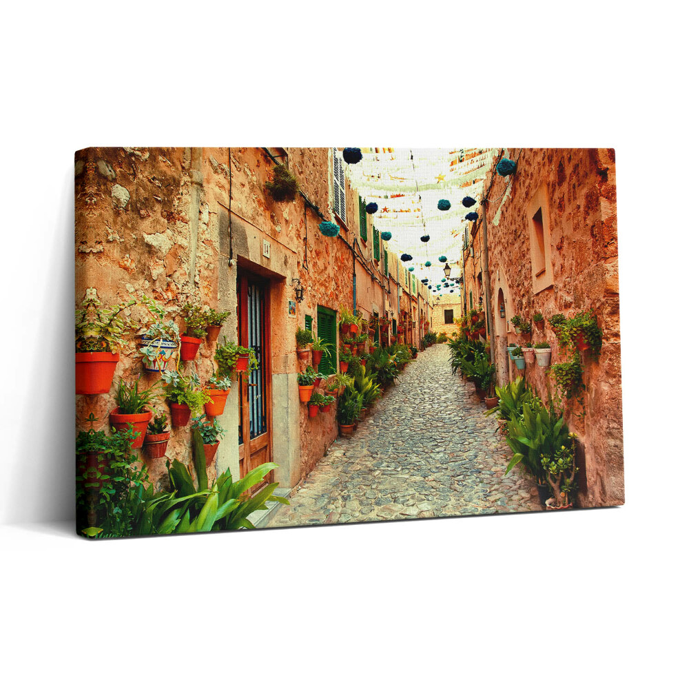 Tablou canvas 30x20 O stradă din satul Valldemossa