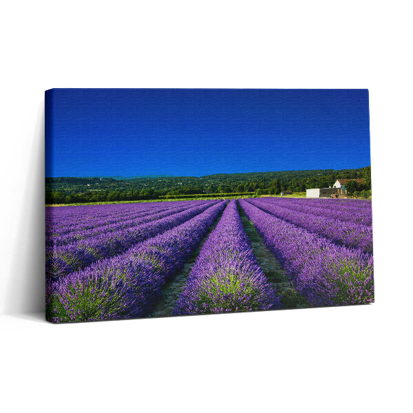 Tablou canvas 30x20 Câmp de lavandă în Provence