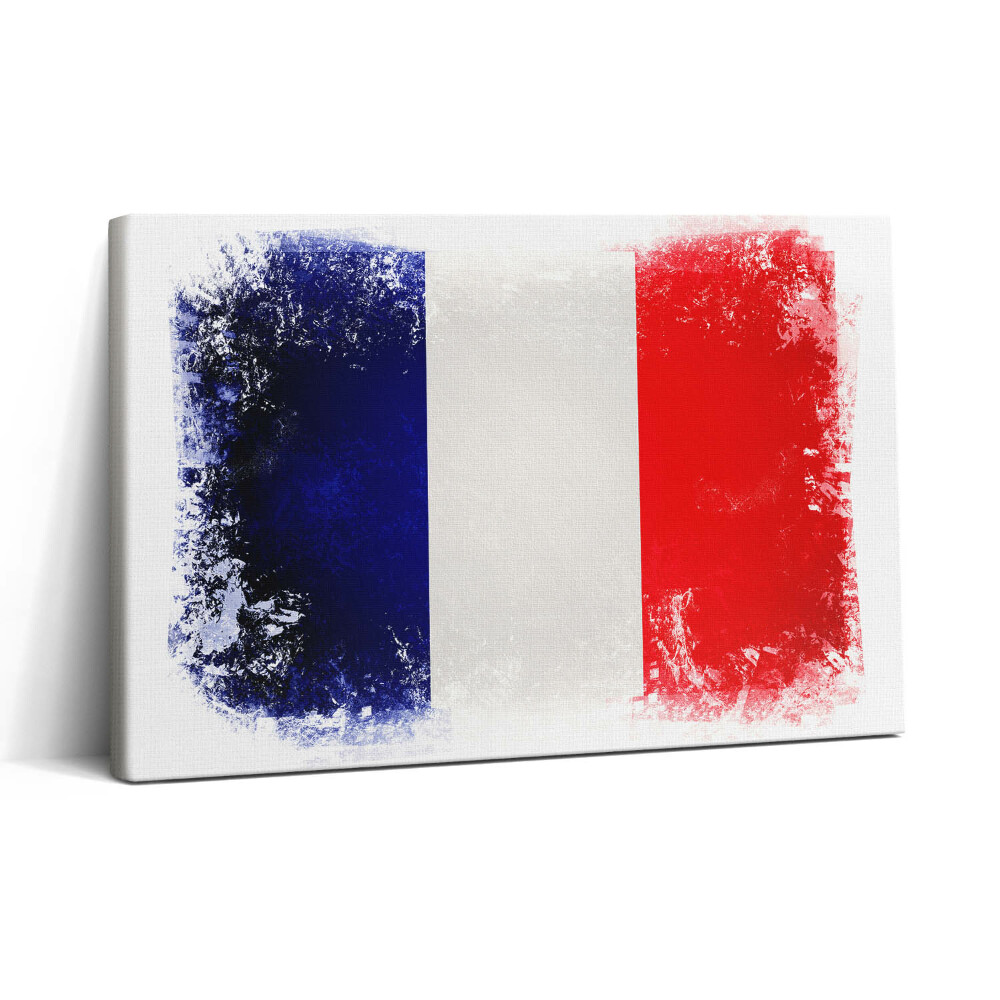 Tablou canvas 30x20 Drapelul francez