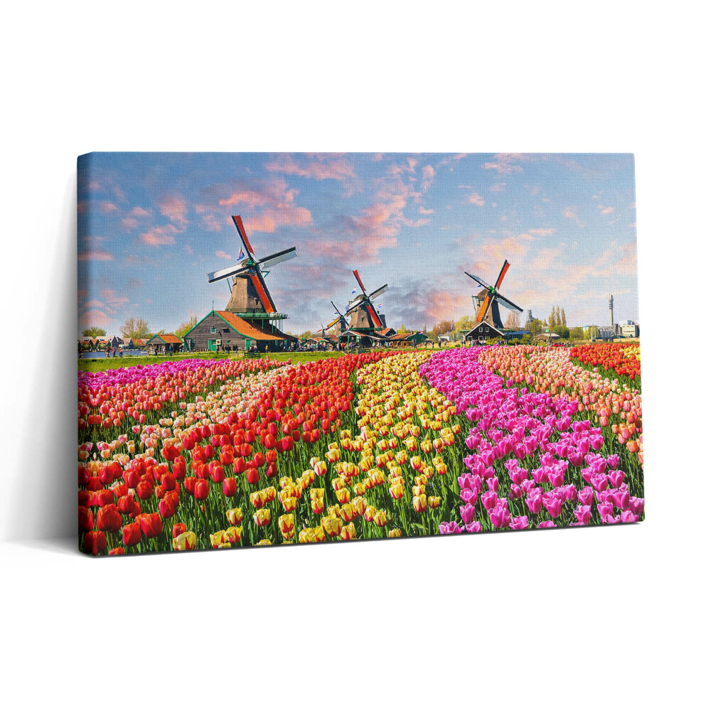 Tablou canvas 30x20 Peisaj cu lalele Olanda