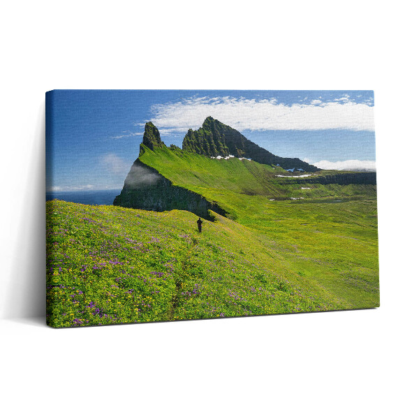 Tablou canvas 30x20 Rezervația Hornstrandir din Islanda