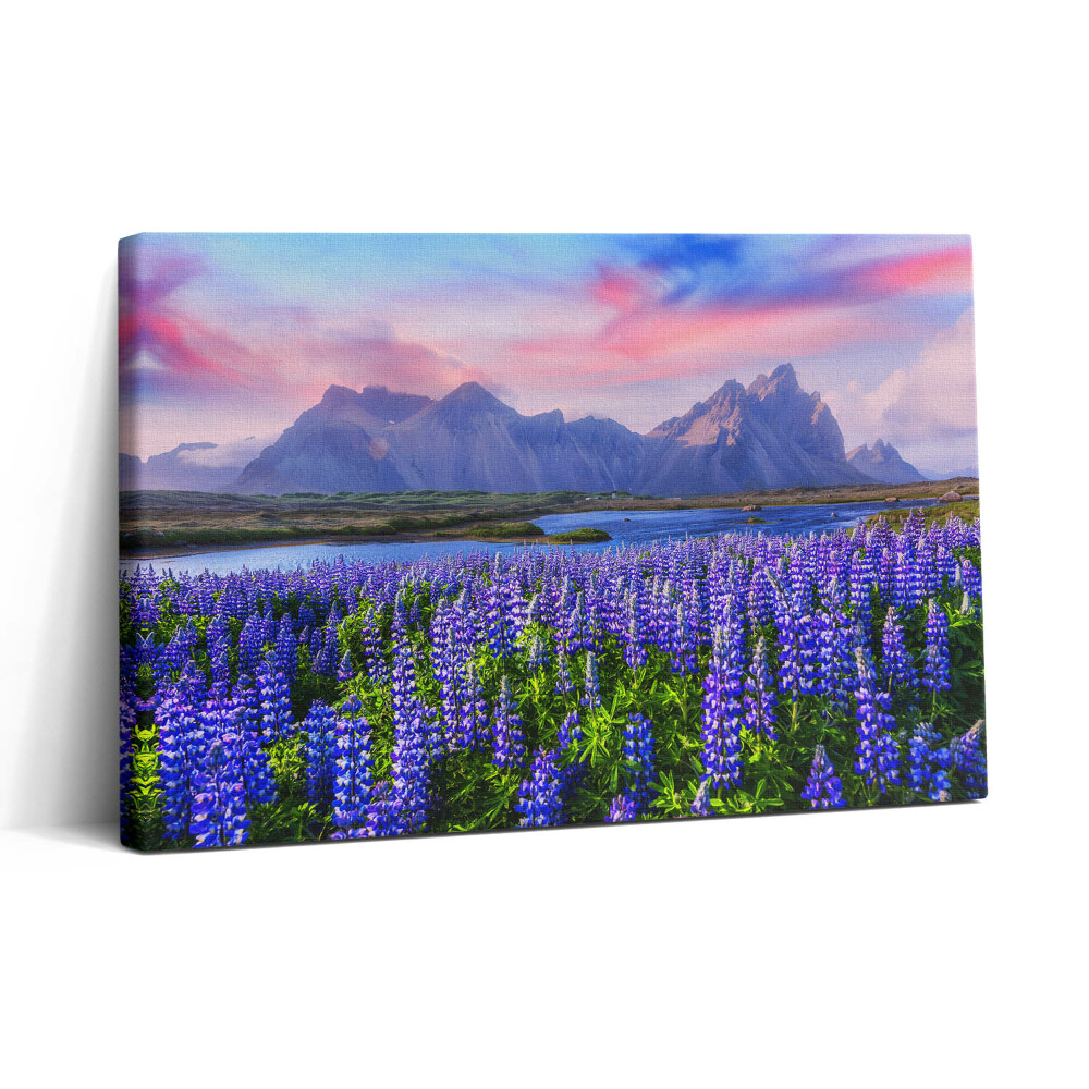 Tablou canvas 30x20 Câmpuri de lavandă - Islanda