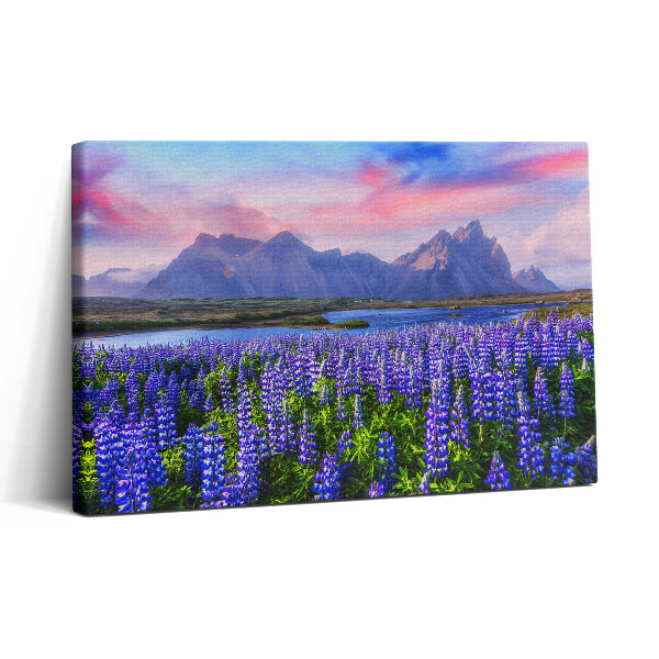 Tablou canvas 30x20 Câmpuri de lavandă - Islanda
