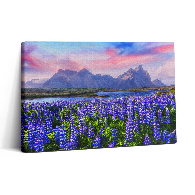 Tablou canvas 30x20 Câmpuri de lavandă - Islanda