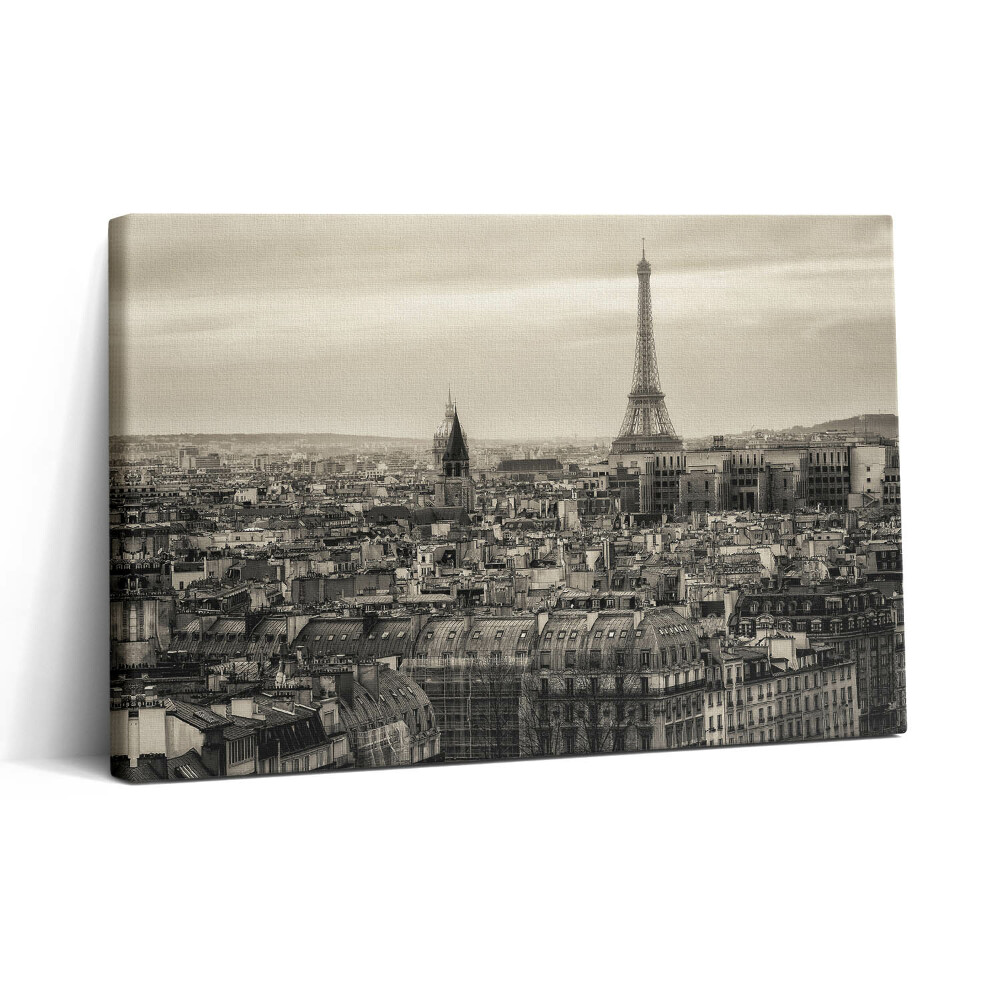 Tablou canvas 30x20 Peisajul din Paris și Turnul Eiffel