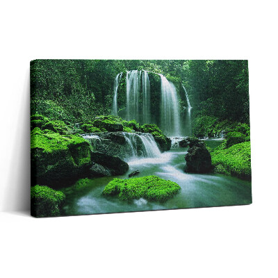 Tablou canvas 30x20 Cascadă printre mușchi