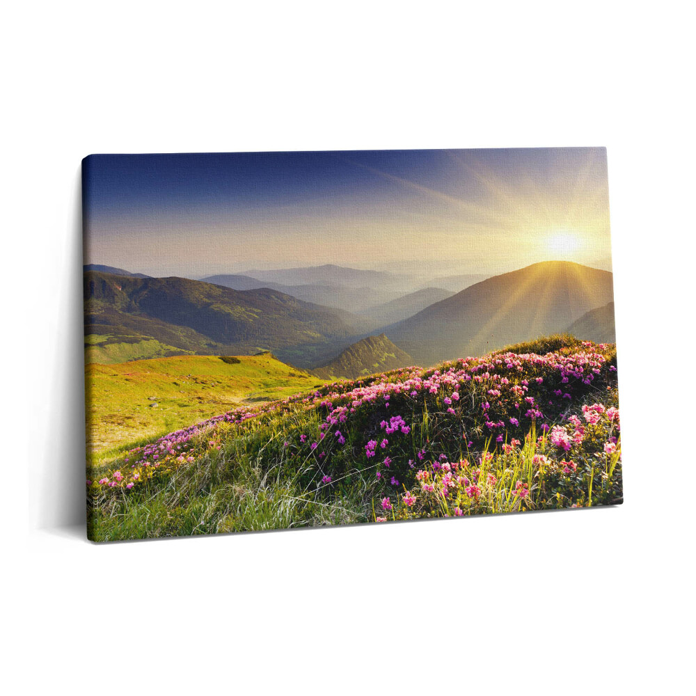 Tablou pe pânză 60x40 Munți și o pajiște cu flori
