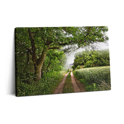 Tablou pe pânză 60x40 Căi printre copaci și raze de soare