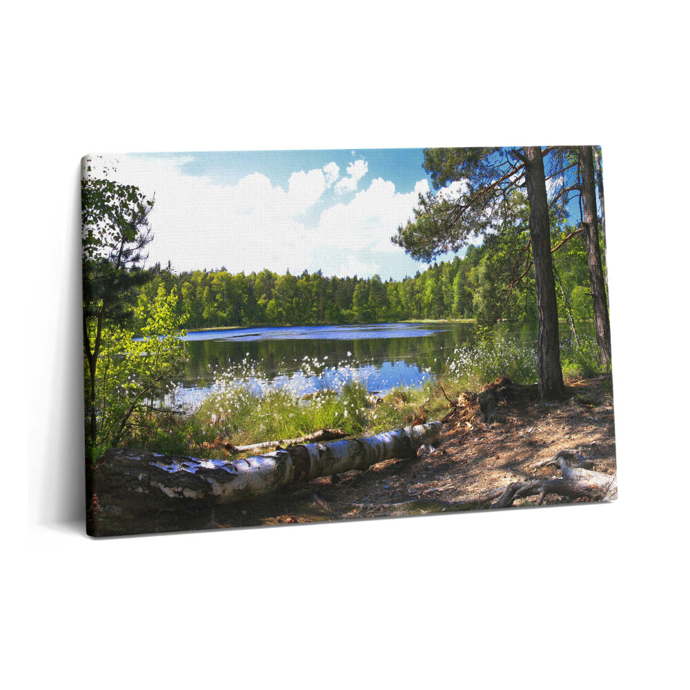 Tablou pe pânză 60x40 Vedere a lacului în pădure