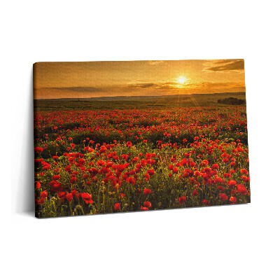 Tablou pe pânză 60x40 Peisaj al unei poiană cu maci