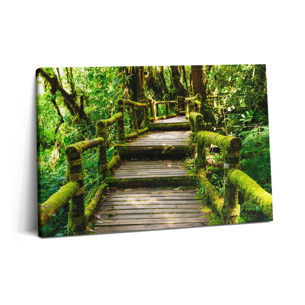 Tablou pe pânză 60x40 Pasarelă pietonală din lemn - agroturism