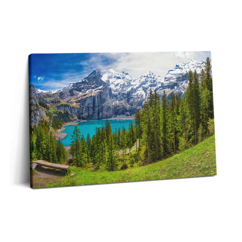 Tablou pe pânză 60x40 Peisaj de pajiști și munți