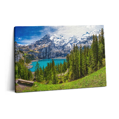 Tablou pe pânză 60x40 Peisaj de pajiști și munți